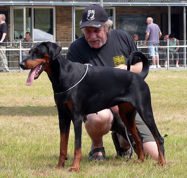 CAC Schau DV Recklinghausen 04.07.2010