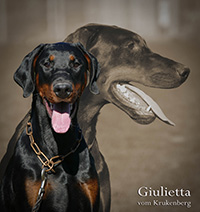 Giulietta
